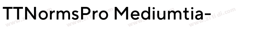 TTNormsPro Mediumtia字体转换